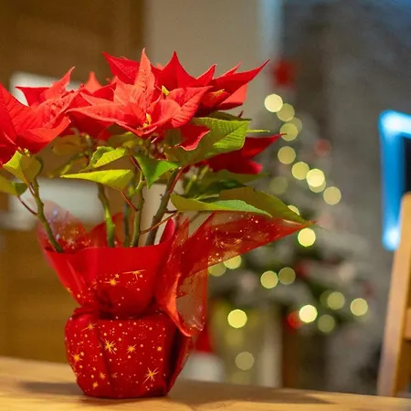 シャレー Na Krolach